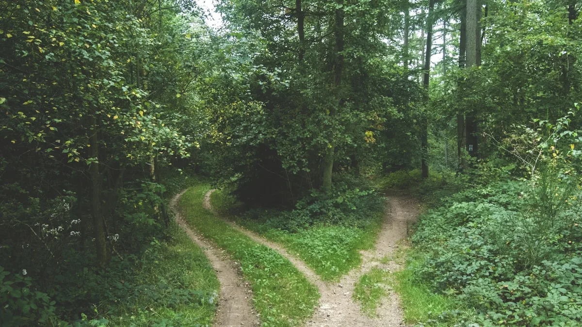 Fine-tuning vs RAG shown as two diverging paths